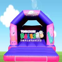 Yorkshire Dales Inflatables - Bouncy Castle Hire image 20